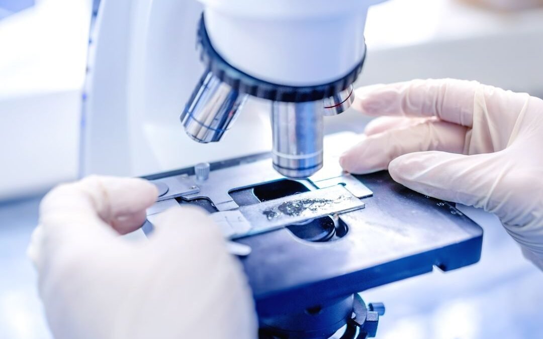 Teste Imunológico para fertilidade